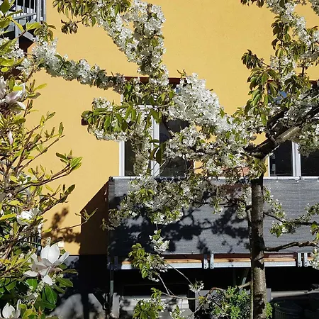 Am Stadthafen שוורין